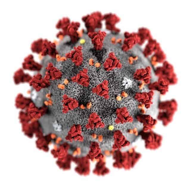 HMPV: What is human metapneumovirus, are cases surging in China, and should we be worried?